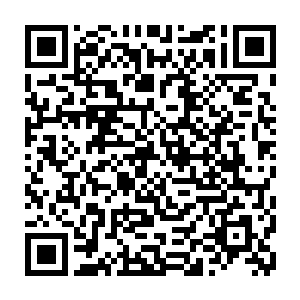 这些个首领互相之间根本就不信任……除非……除非有一个他们都信任的人……二维码生成