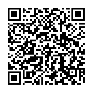 这些人又都还算得上是正宗的儒学子弟――李l的讲述便也更加的生动一些二维码生成