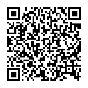 这些人在这里生根发芽组建后代经过了无数的岁月发展有了自己的家族和势力二维码生成