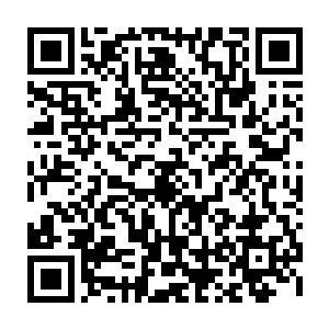 这些人就非常激动的打算把在东南亚普遍象征吉祥和地位的大象给弄下去二维码生成