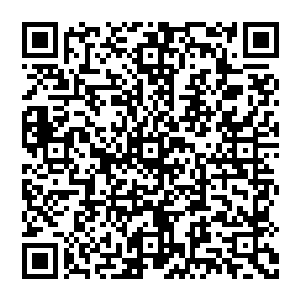 这些人正在忙碌这修建一些简陋的房屋以及一些他们在府里的练武场看到的东西和更多他们完全不明白的东西二维码生成