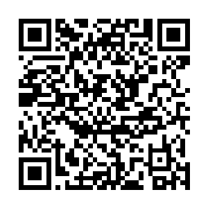 这些人的死亡 带给佣兵协会的是难以用金钱衡量的损失二维码生成