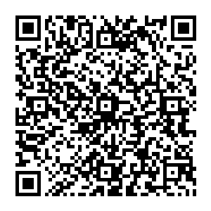 这些人立刻开始在虎型傀儡的身上装着极品灵石就连林绯虞也从自己的储物戒指中取出了虎型傀儡二维码生成