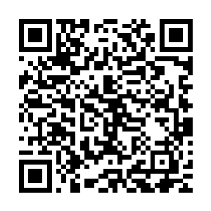 这些人虽然说修为在一定程度上是靠着杨家提供的灵药提升的二维码生成