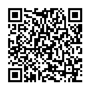 这些企业直的入园接让整个太阳能光伏暨硅产业园一片沸腾二维码生成