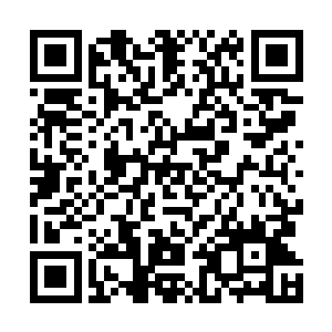 这些凶恶的存在在这片蛮荒宇宙中经历了几十亿年的厮杀二维码生成