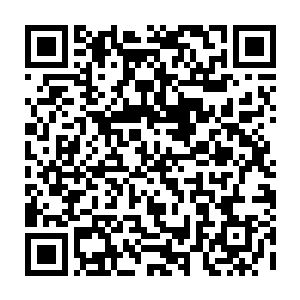 这些刺客们显然没有想到这位看似无害的定王妃居然会一出手就放翻一个人二维码生成