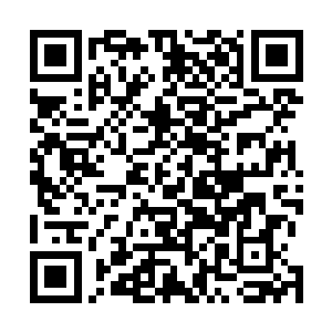 这些卷宗也不是他们写下的……可真正祸首不是他们是谁二维码生成