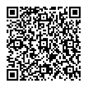 这些和钱多多有仇的千年世家暗中让家族内的不少年轻一辈佼佼者却找钱多多的麻烦二维码生成