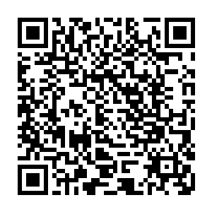 这些圣保罗球迷们的呼喊声很快就淹没在了弗拉门戈球迷们疯狂的欢呼声中……二维码生成