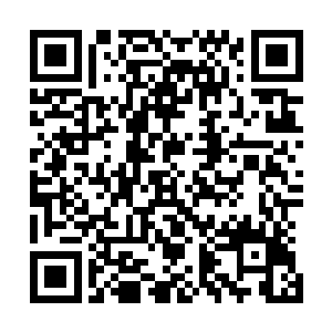 这些在正面战场上被打残的墨族队伍很难再形成有效的编制二维码生成