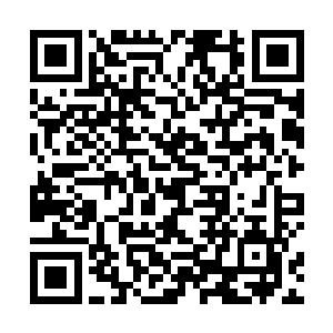 这些培训所的导师所给出的建议竟然也跟弘忍和尚一样二维码生成