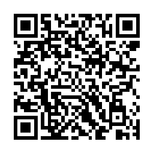 这些天材地宝随便拿出去任何一样都会引起整个诸天百界的哄抢二维码生成