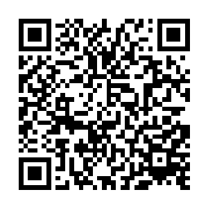 这些实力强大海兽无一不是经过无数的厮杀而存活下来的二维码生成