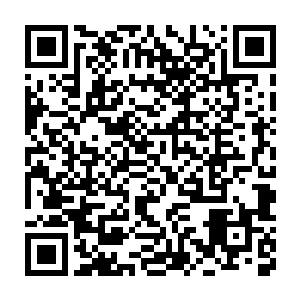 这些小动作没有一个出现在洛克希身上――罗杰确信自己没有错过一秒二维码生成