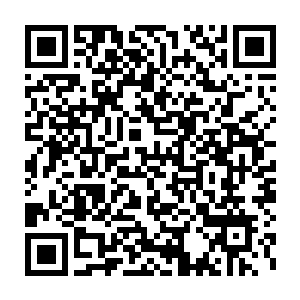 这些小家族不过就是他们这些大家族增加论道大会娱乐性的牺牲品罢了二维码生成