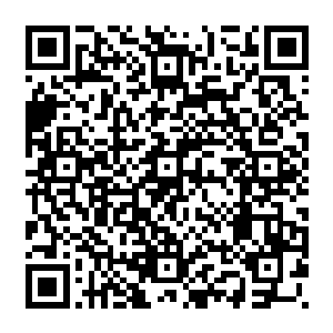 这些尸皇强者绝对不是在鬼域见到的鬼皇那般的通过练级塔层层压榨而造就的尸皇二维码生成