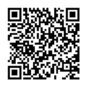 这些山民可没有金雕们那样精确掌控打击力度的能力二维码生成