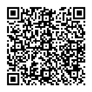 这些带着各个修士印记的神识经过了中央的运转竟然被转化成没有丝毫印记的纯净的神识二维码生成