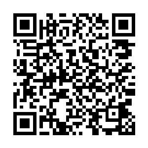 这些平日里用木棍打架的地痞们哪里见过这么狠决的一幕二维码生成