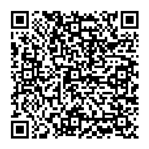 这些或许是被宰杀的猪仔们养肥了宰了血液榨出来灌到玻璃缸中留着滋养下一波的客人们一直循环往复下去二维码生成