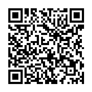 这些所谓的蕴灵珠其实是他用一滴定海神珠的灵水幻化出来的二维码生成