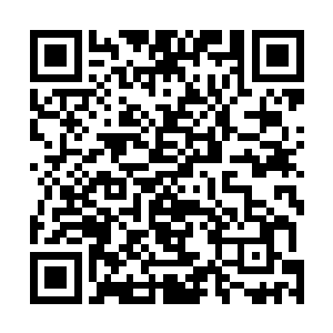 这些敌人似乎对我们很熟……该不会是我们队伍里有……二维码生成