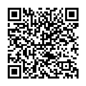 这些无力支撑的絮乱飞剑只不过是略微拖延了他们一瞬而已二维码生成