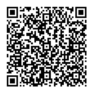 这些案子绝大多数都是老百姓个体或者单位诉讼我们基层政府支付欠账或者行政赔偿的一些案件二维码生成