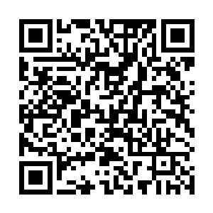 这些毒蝠的回声定位系统是根本不可能定位到赵纯良的二维码生成