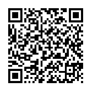 这些灵晶你肯定是带不动咯~~所以我还给你准备了一个奎恩戒指二维码生成