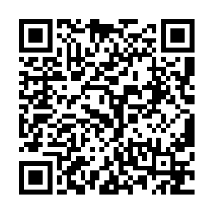 这些甚至足够他们在缴纳完巨额的赋税和对领主的贡献之后二维码生成