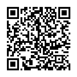 这些碎玻璃怎么也能起到一点儿阻碍越楠兵追击效率的作用二维码生成