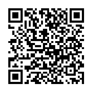 这些积分是你将死亡果实和死亡之花卖出去了吧等等二维码生成