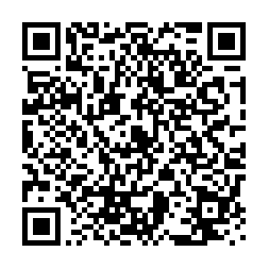 这些突然冒出来的海兽的实力的确不是神武大陆的武者能够抗衡的二维码生成