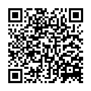 这些笨家伙确实是根据闯关者的实力相应地减少一个层次二维码生成