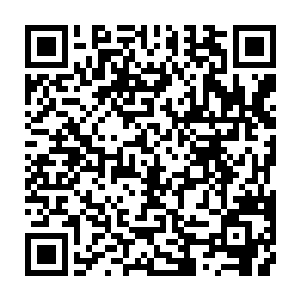 这些紫衣法师和红衣法师们前赴后继的飞向他的身旁替他承受着陨石的击打二维码生成