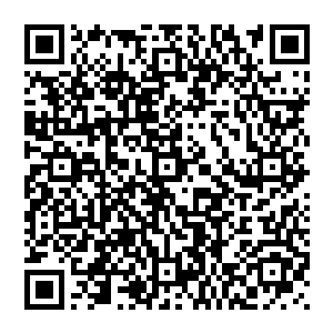 这些继承了妖族和异形一族强大生命力的妖兽异形也依旧能够凭借本能和最后的生命力持续战斗一段时间二维码生成