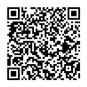 这些节目的创作团体――演员导演制片和编剧――当然都是趋向于经济利益的二维码生成