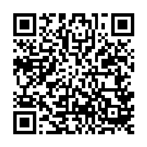 这些落在地面的灵虫很多是在撞击之下折断了翅膀无法飞行的二维码生成