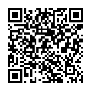 这些血魔记忆里除了讨厌血煞和遇到血煞要怎么怎么处理外二维码生成
