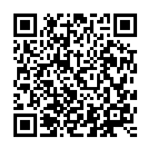 这些讨论帖实际上幕后是有人在操纵的――这实际上是珍妮弗二维码生成
