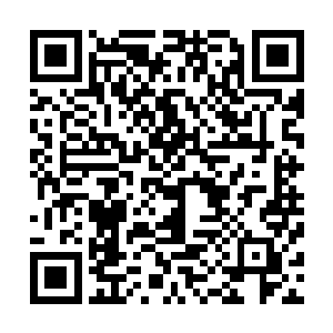 这些转生总数估算或有几十万人以上……不能放任着牺牲掉二维码生成