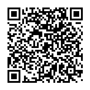 这些锋锐的尖刺可以如同登山镐一般将它们的身体稳稳固定在战堡表面二维码生成