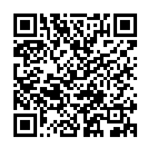 这些魔化傀儡只会在感受到一定程度刺激的时候才会有所反应二维码生成
