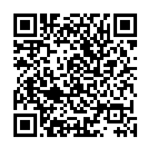 这些黑色的物质正式万毒噬灵丹沉积在宇无极体内的毒素二维码生成
