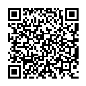 这代表了凌海大学三大校花之一的林欣悦已经名花有主了二维码生成