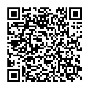 这代表着黑龙和红龙可以自由在地表遨游而不用担心遭到同族们的围猎二维码生成