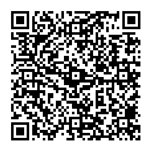 这件事反而让帝皇醒悟到自己犯了一个极大的错误他实在太低估自己这个由征服和杀戮凝聚出来的分身二维码生成