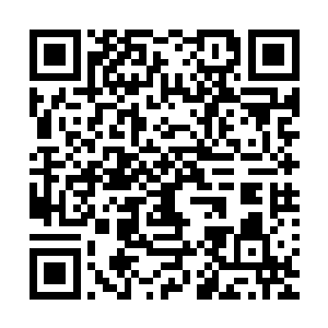 这件事的确没那么简单――他们两兄弟的兵马都是驻扎在城外二维码生成